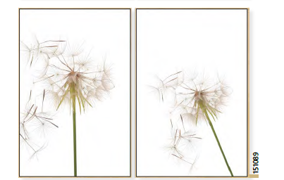 Quadro flor dente de leao